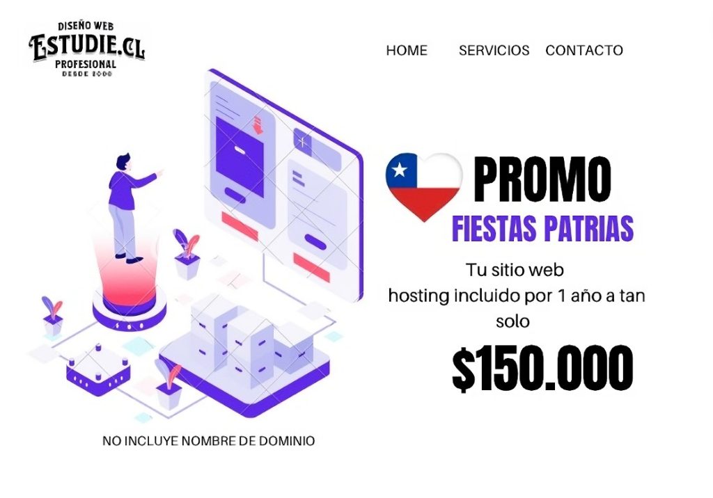 diseño web promocion precios